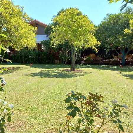 Bahçe Villa Çıralı Extérieur photo