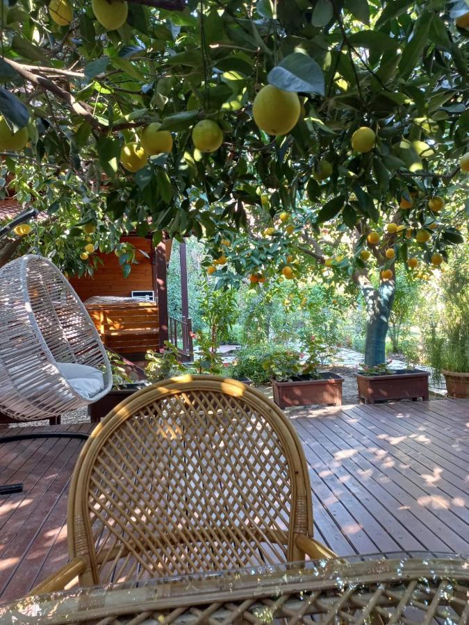 Bahçe Villa Çıralı Extérieur photo