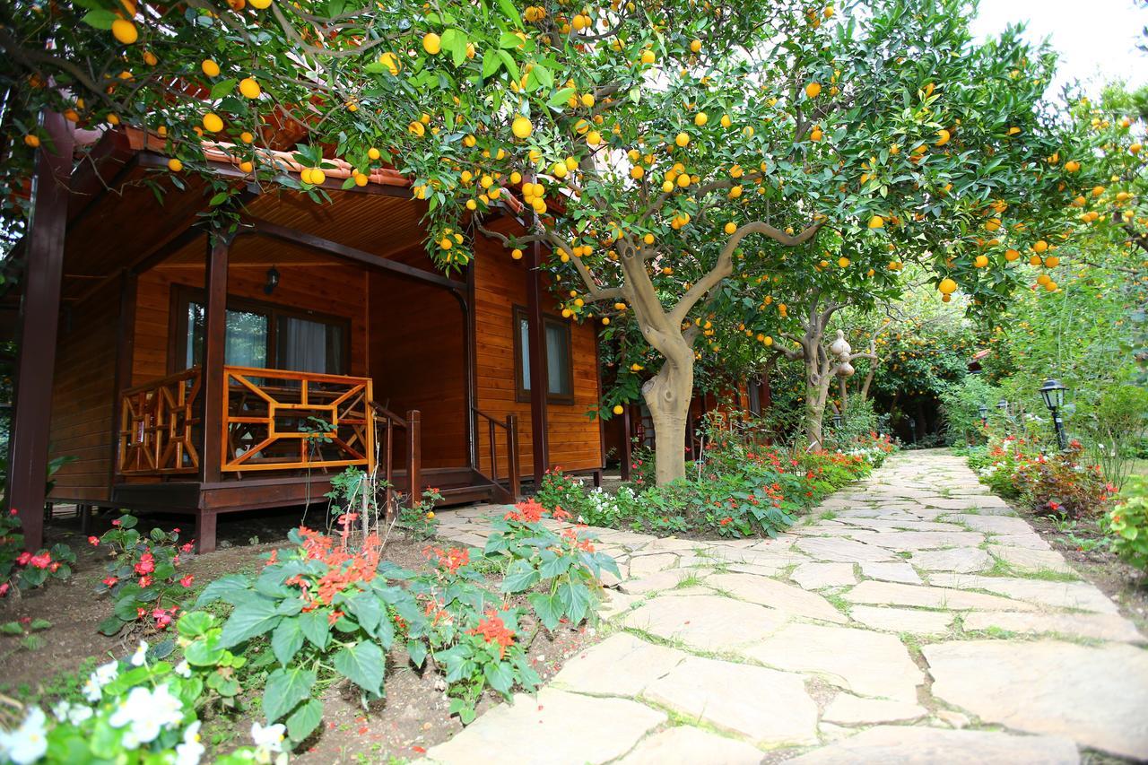 Bahçe Villa Çıralı Extérieur photo