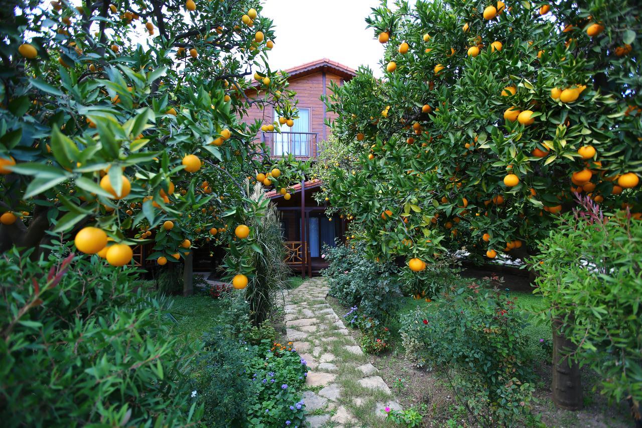 Bahçe Villa Çıralı Extérieur photo