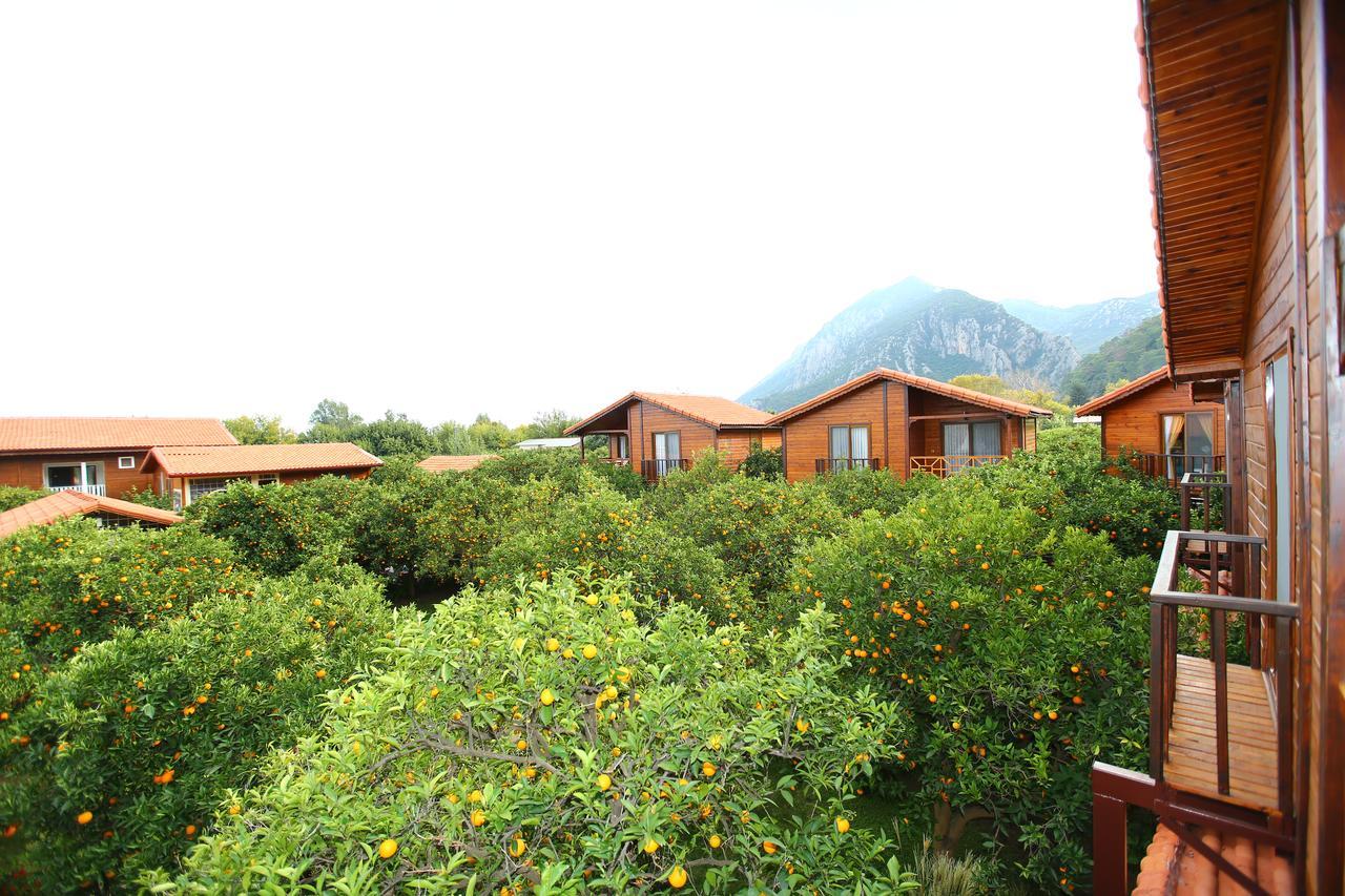 Bahçe Villa Çıralı Extérieur photo