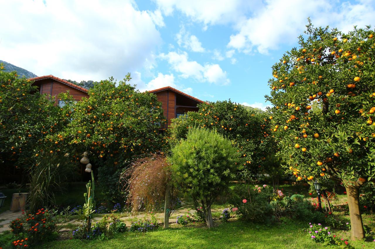 Bahçe Villa Çıralı Extérieur photo