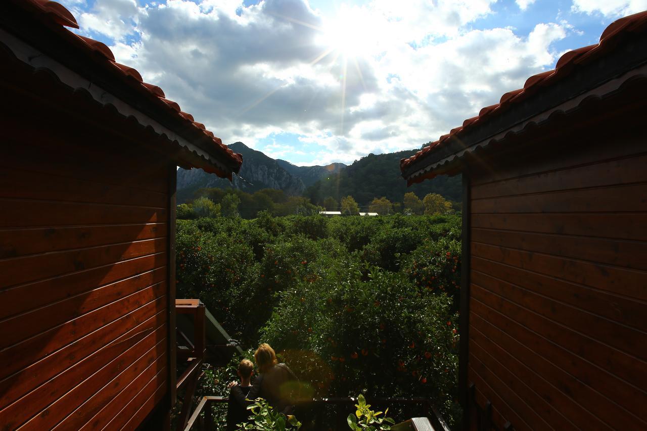 Bahçe Villa Çıralı Extérieur photo